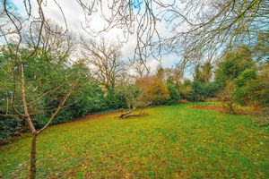 Photo 58- click for photo gallery